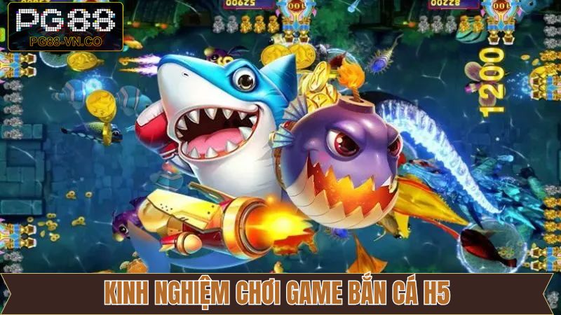 Chiến thuật săn ngư hiệu quả được cao chia sẻ