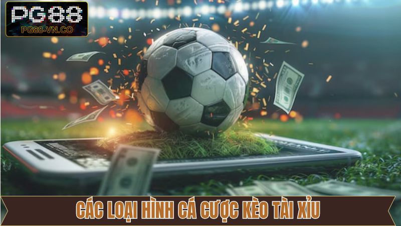 Giới thiệu các loại hình cược tài xỉu hấp dẫn