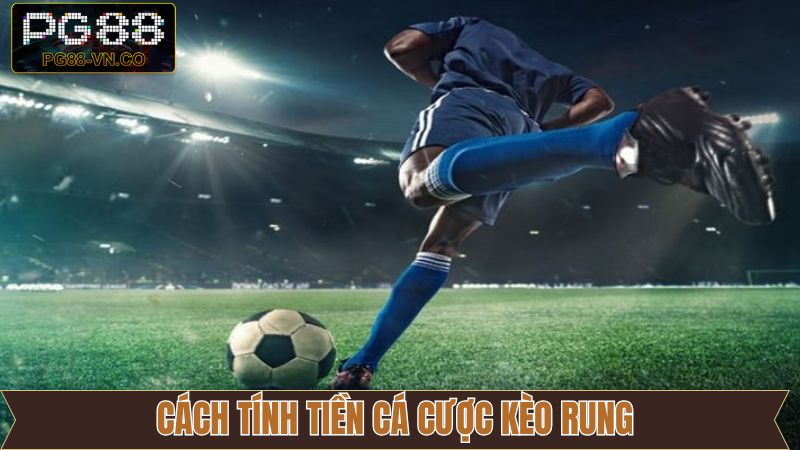 Hướng dẫn tính tiền thắng khi cá độ Running