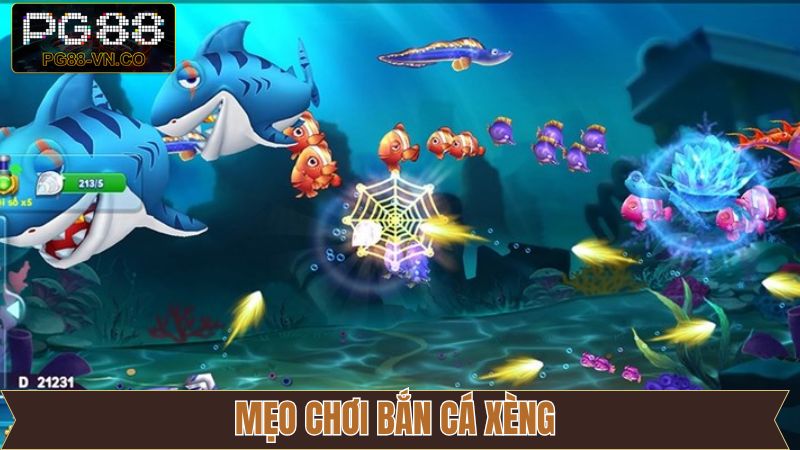 Phương pháp chinh phục cá lớn thành công