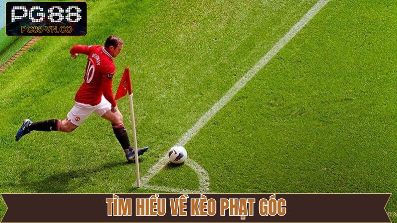 Giới thiệu kèo phạt góc về những thông tin cơ bản nhất