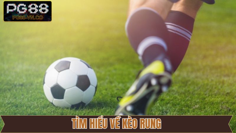 Tìm hiểu khái quát về kèo rung trong cá độ bóng đá
